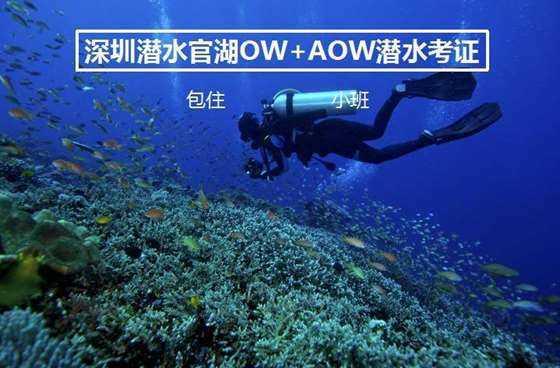 华为Mate50系列预约人数已超百万，这款手机为何还没发布就火了？游戏画面